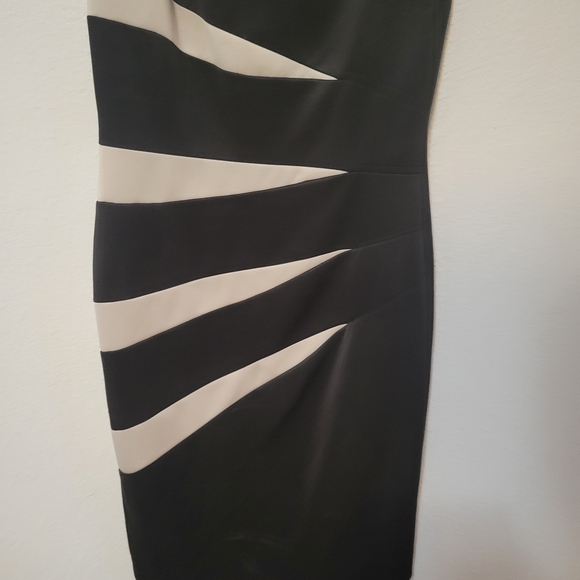 Elegant Black and Cream Sleeveless Dress - Picture 2 of 9